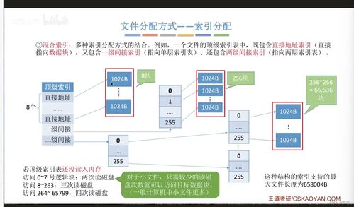 文件的物理結構 數據處理與存儲支持服務的基石